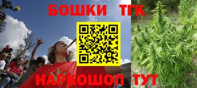 шишки Лесосибирск